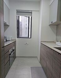 The Florence Residences (D19), Apartment #556155521